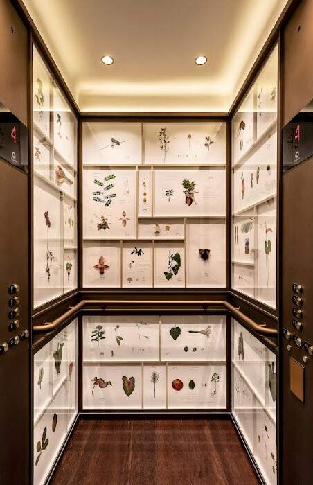 Interior de um dos elevadores do Hotel Rosewood é decorada com uma coleção de gravuras de plantas híbridas de Walmor Corrêa
